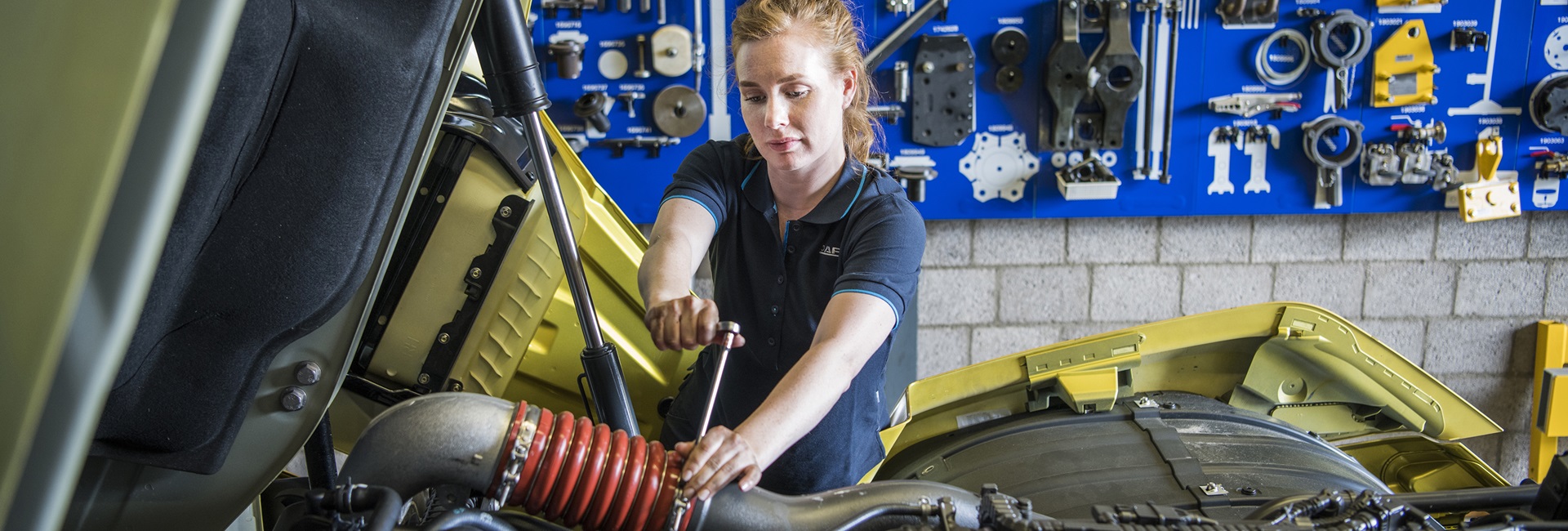 DAF Services